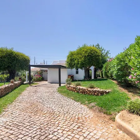 Rose 알부페이라