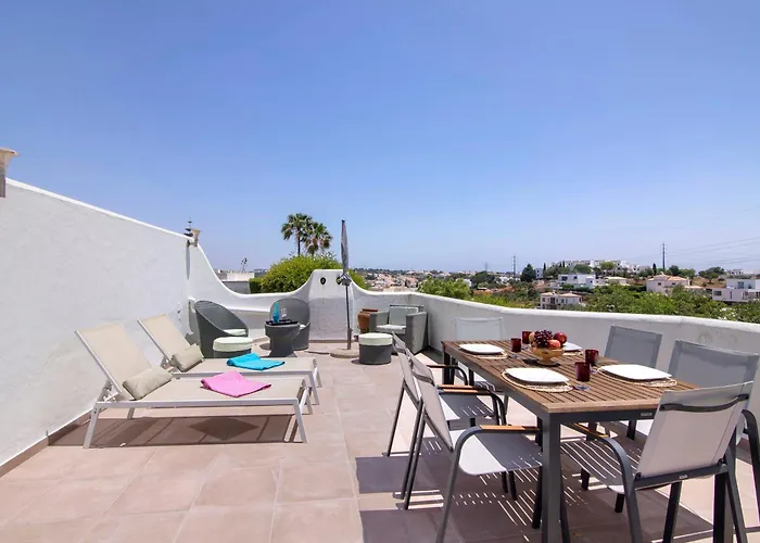 Rose 알부페이라