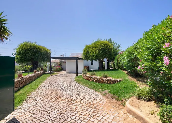 Rose 알부페이라