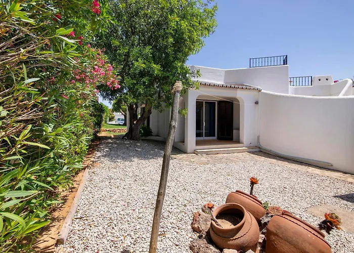 Rose 알부페이라